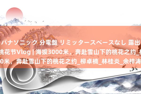 パナソニック 分電盤 リミッタースペースなし 露出・半埋込両用形 林芝桃花节Vlog | 海拔3000米，奔赴雪山下的桃花之约_柳卓楠_林桂炎_余梓涛