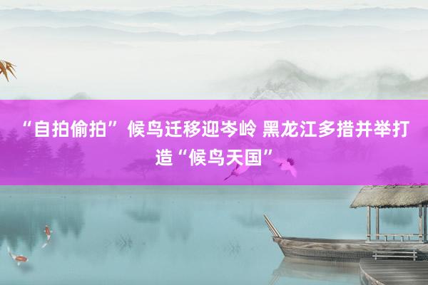 “自拍偷拍” 候鸟迁移迎岑岭 黑龙江多措并举打造“候鸟天国”