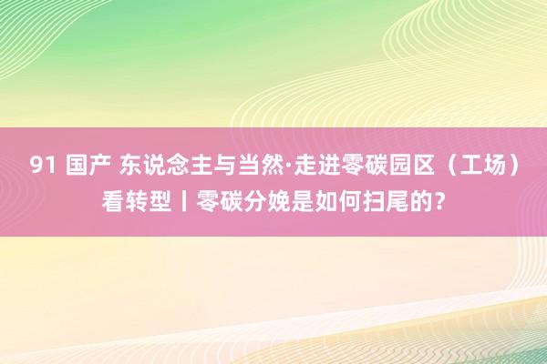 91 国产 东说念主与当然·走进零碳园区（工场）看转型丨零碳分娩是如何扫尾的？