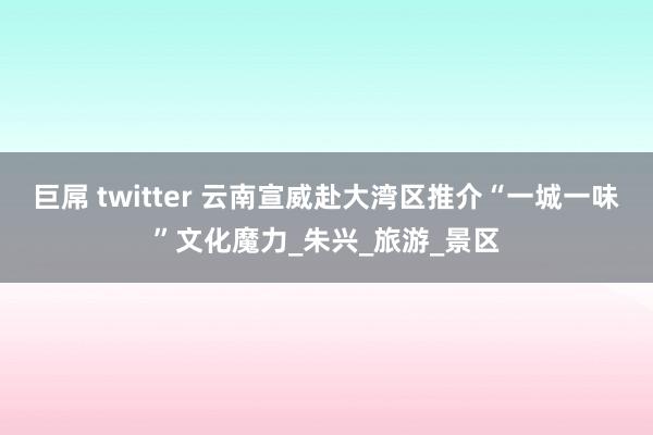 巨屌 twitter 云南宣威赴大湾区推介“一城一味”文化魔力_朱兴_旅游_景区
