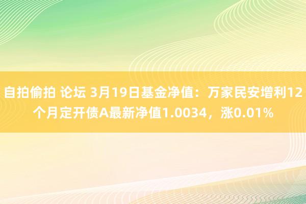 自拍偷拍 论坛 3月19日基金净值：万家民安增利12个月定开债A最新净值1.0034，涨0.01%