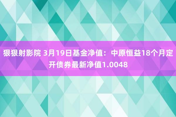 狠狠射影院 3月19日基金净值：中原恒益18个月定开债券最新净值1.0048