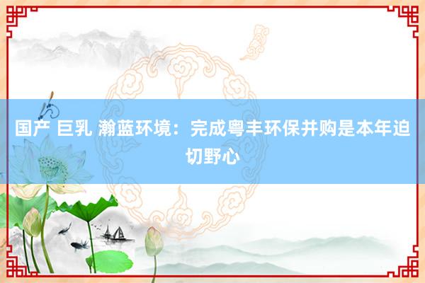 国产 巨乳 瀚蓝环境：完成粤丰环保并购是本年迫切野心