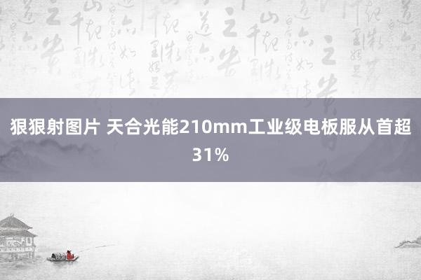 狠狠射图片 天合光能210mm工业级电板服从首超31%