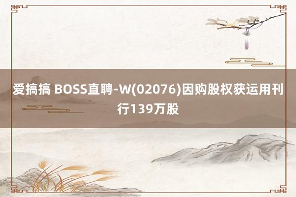 爱搞搞 BOSS直聘-W(02076)因购股权获运用刊行139万股
