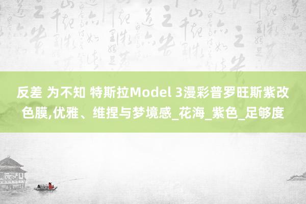 反差 为不知 特斯拉Model 3漫彩普罗旺斯紫改色膜，优雅、维捏与梦境感_花海_紫色_足够度