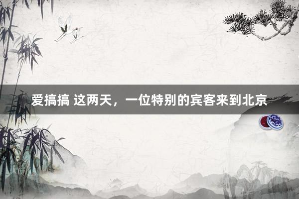 爱搞搞 这两天，一位特别的宾客来到北京