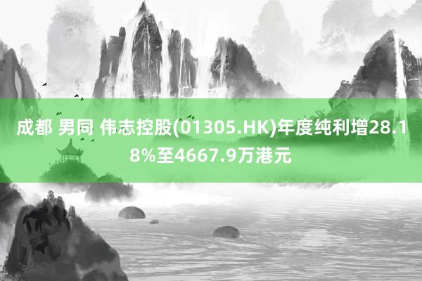 成都 男同 伟志控股(01305.HK)年度纯利增28.18%至4667.9万港元