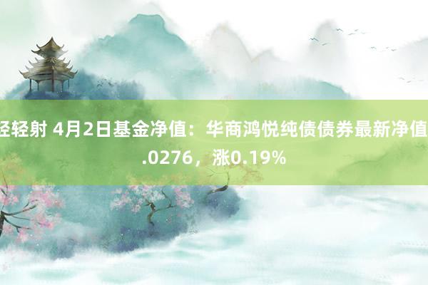 轻轻射 4月2日基金净值：华商鸿悦纯债债券最新净值1.0276，涨0.19%