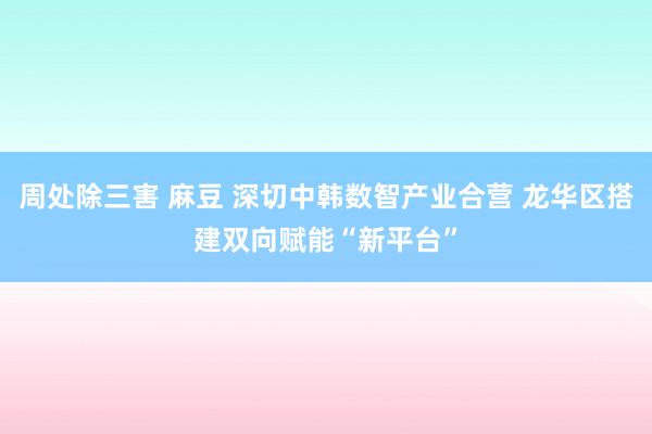 周处除三害 麻豆 深切中韩数智产业合营 龙华区搭建双向赋能“新平台”