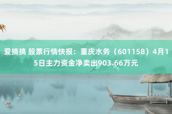 爱搞搞 股票行情快报：重庆水务（601158）4月15日主力资金净卖出903.66万元