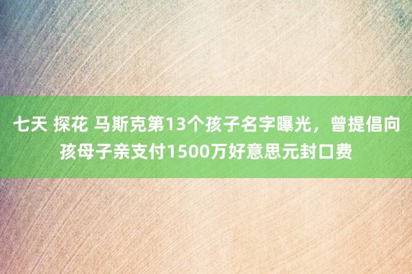七天 探花 马斯克第13个孩子名字曝光，曾提倡向孩母子亲支付1500万好意思元封口费
