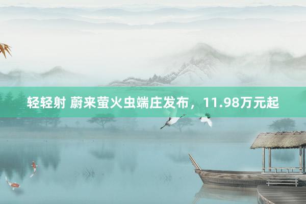 轻轻射 蔚来萤火虫端庄发布，11.98万元起