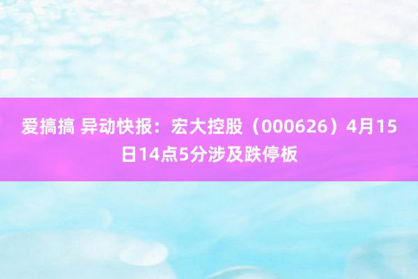 爱搞搞 异动快报：宏大控股（000626）4月15日14点5分涉及跌停板
