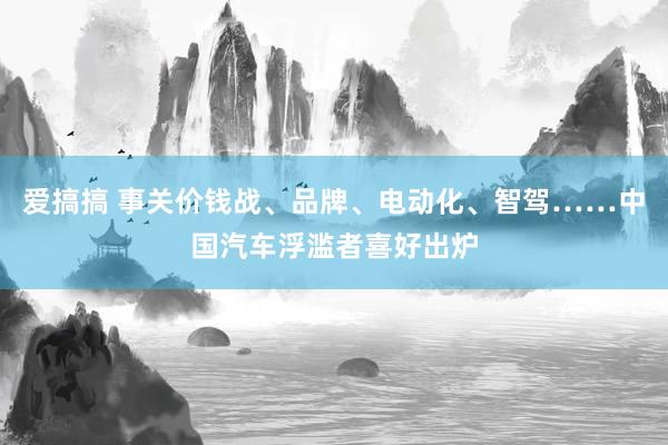 爱搞搞 事关价钱战、品牌、电动化、智驾……中国汽车浮滥者喜好出炉