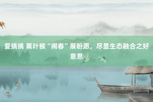爱搞搞 黑叶猴“闹春”展盼愿，尽显生态融合之好意思