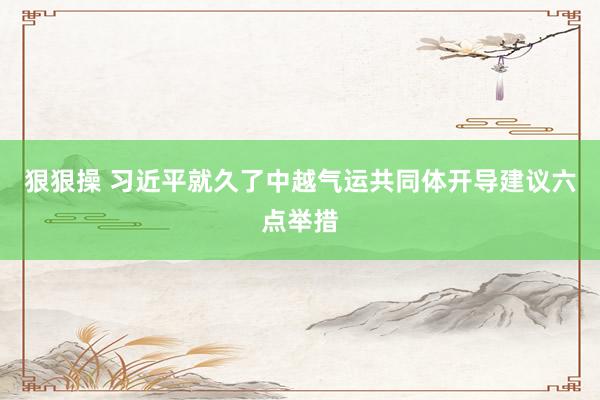 狠狠操 习近平就久了中越气运共同体开导建议六点举措